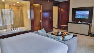 Triumph Luxury Hotel